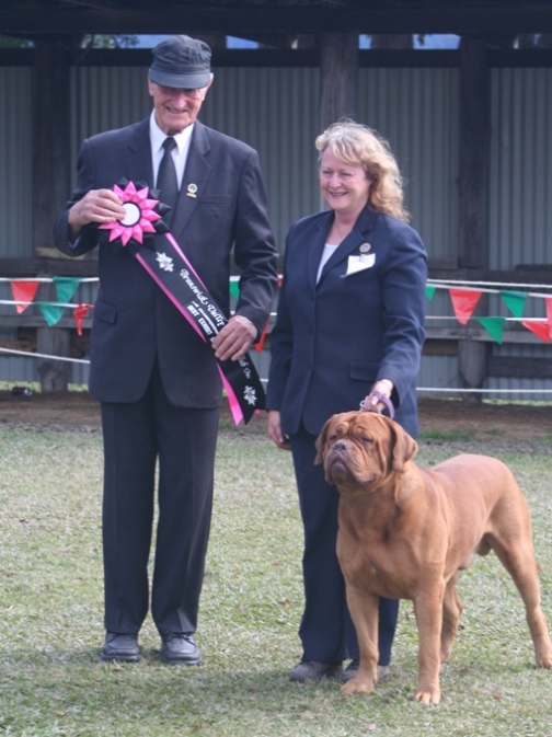 Best in Show. Judge - Mr K. Cronchey.